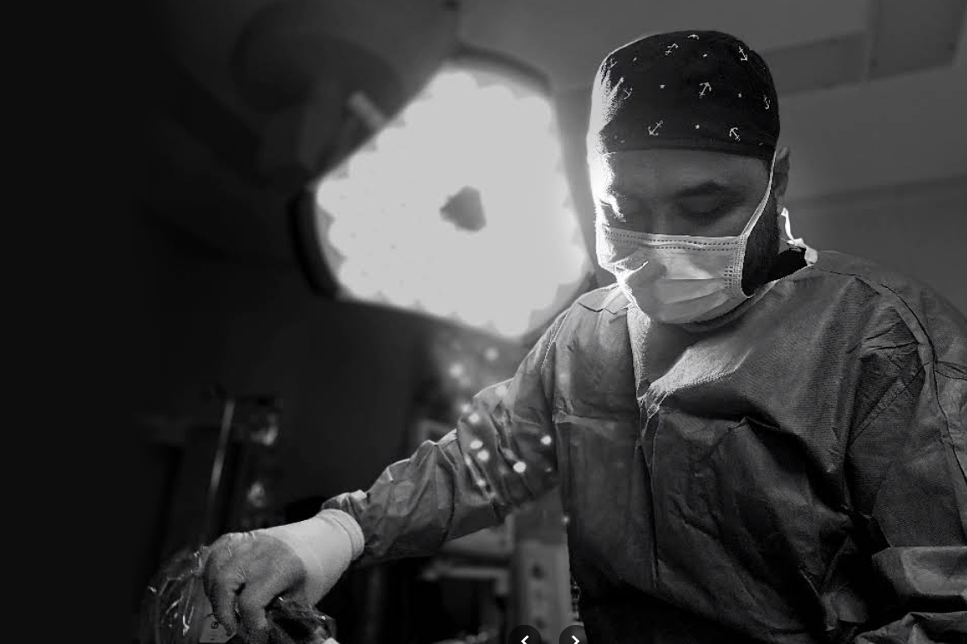 Prof. Dr. Yavuz Başterzi